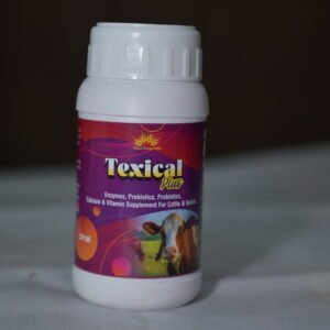 Texical Plus