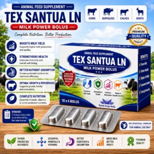 Tex Santua LN Bolus