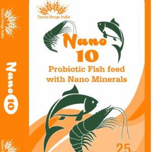 Nano 10