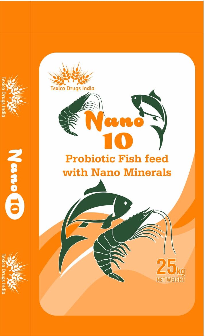 Nano 10