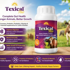 Texical Plus